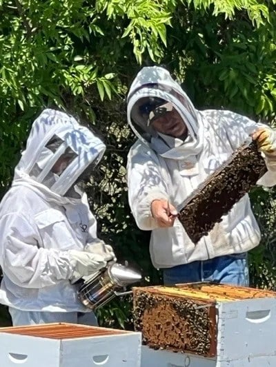 Shanon and James working a hive at Farrell Farms
