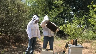 Beekeepers carrying a hive box