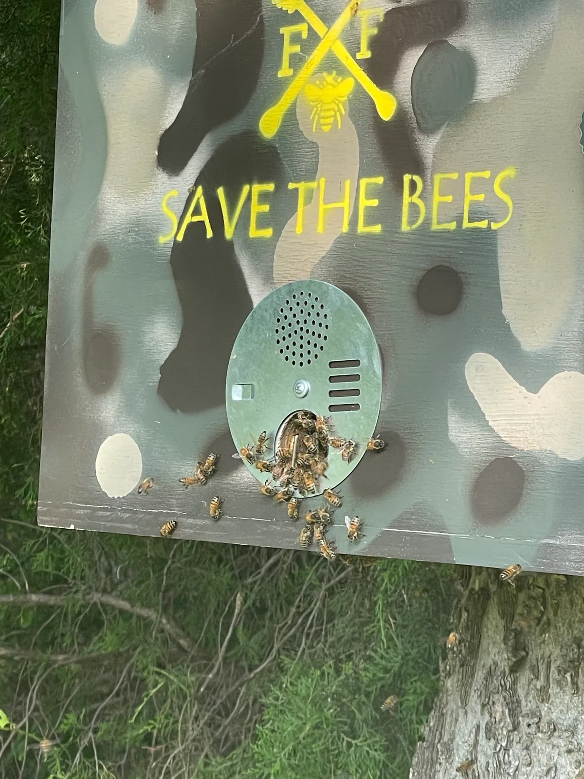 Camo swarm boxes built for wild honeybees