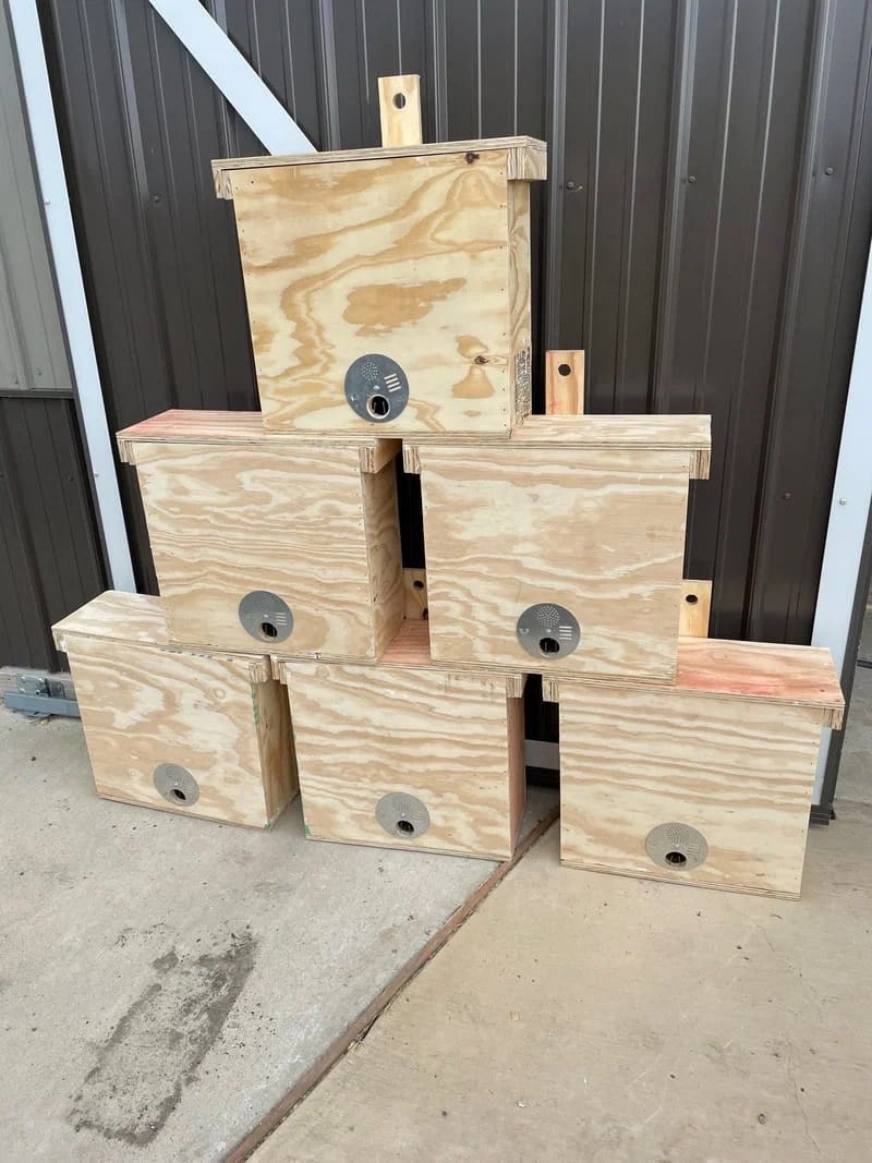 Hand-built swarm boxes