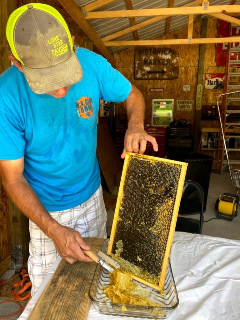 2022 Extracting Honey!