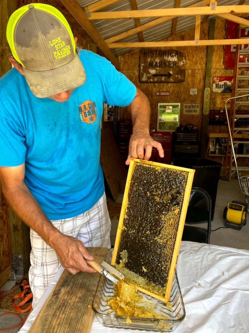 2022 Extracting Honey!